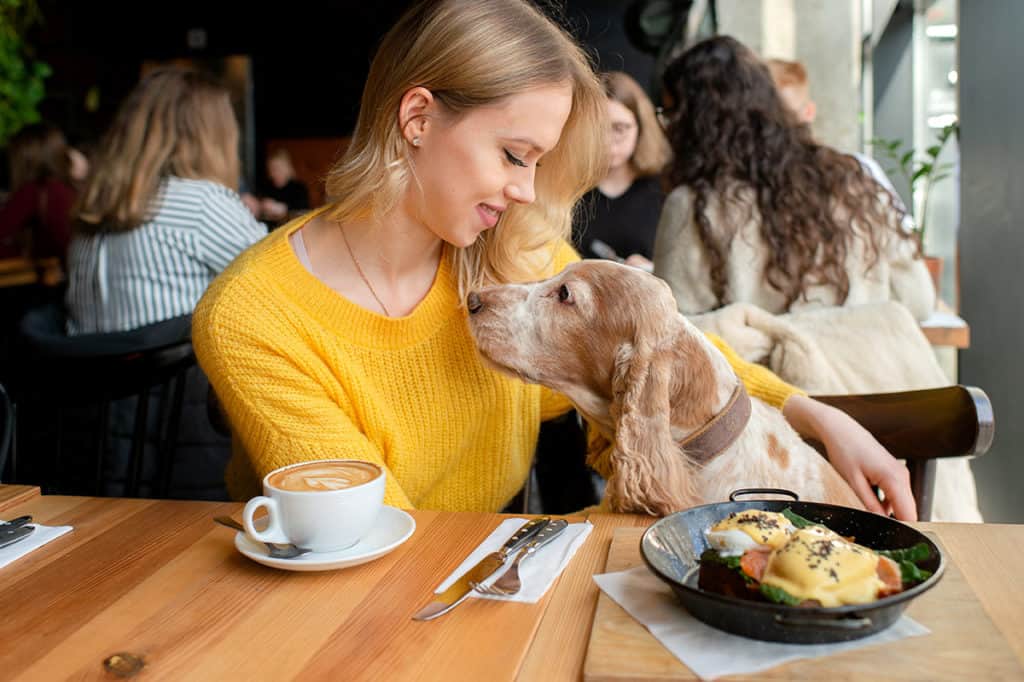 dog-friendly restaurants in melbourne